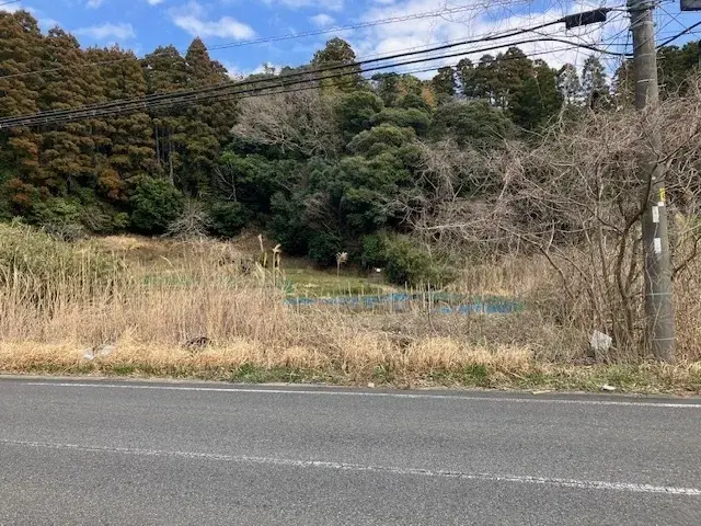 Slide 0
