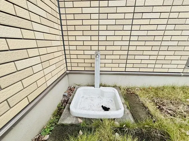 Slide 9