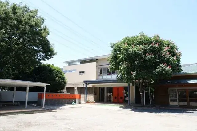 Slide 6