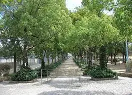 Slide 5