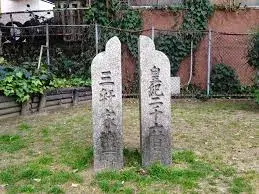Slide 6