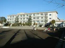 Slide 4
