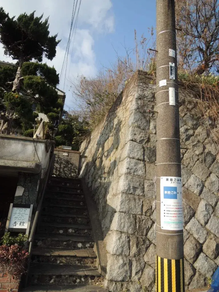 Slide 6