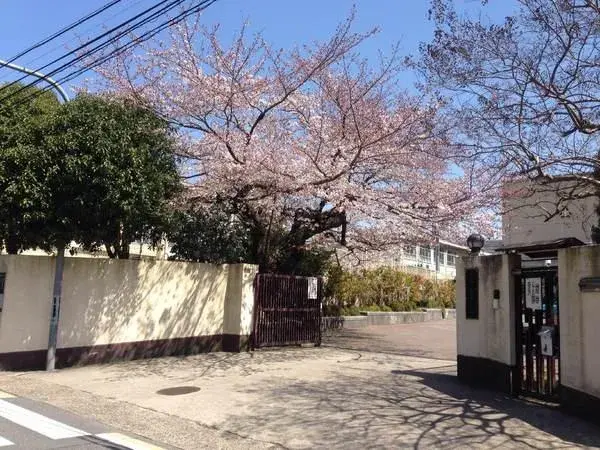Slide 4