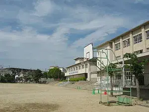 Slide 17