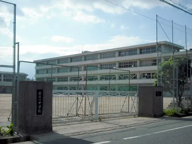 Slide 12