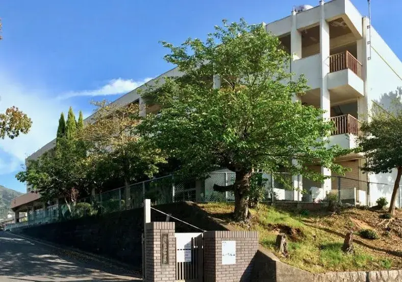 Slide 8