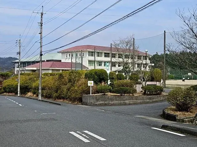 Slide 8