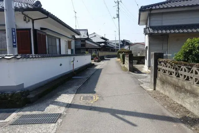 Slide 5