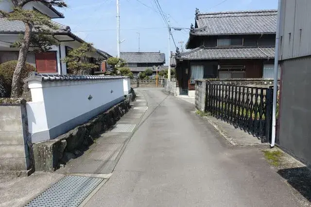 Slide 8