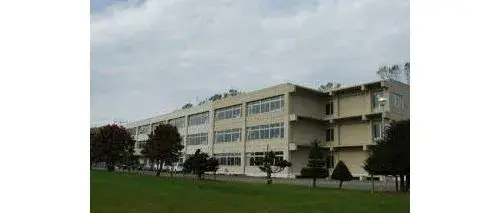 Slide 17