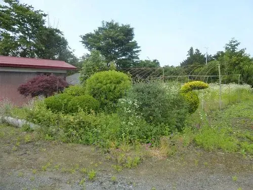 Slide 3