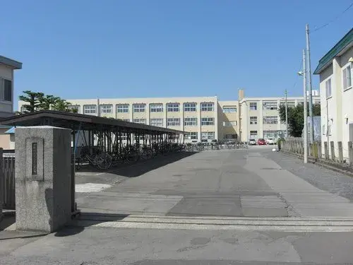 Slide 6