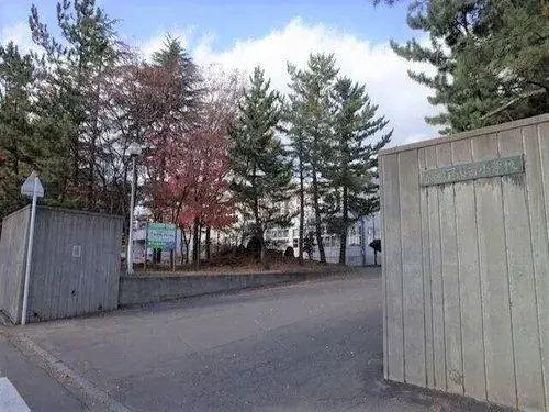 Slide 8