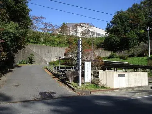 Slide 0