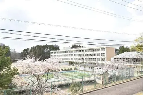 Slide 15