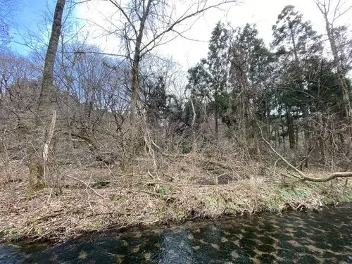 Slide 17