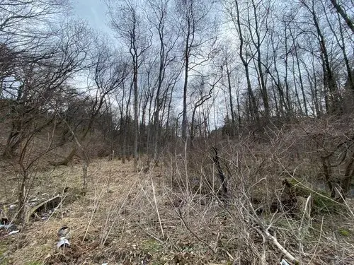 Slide 18
