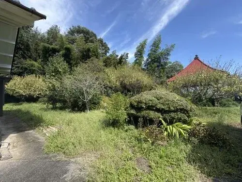 Slide 9