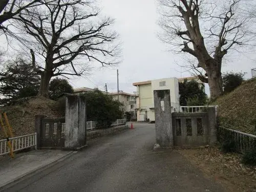 Slide 6