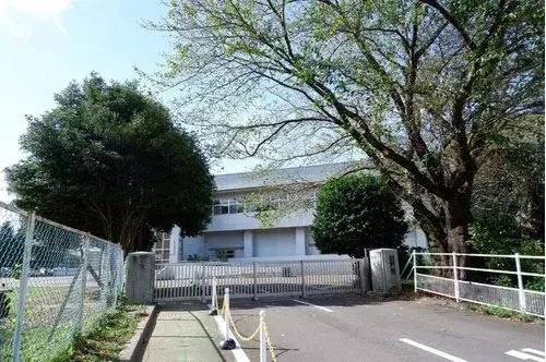 Slide 17