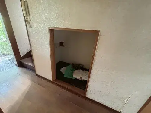 Slide 8