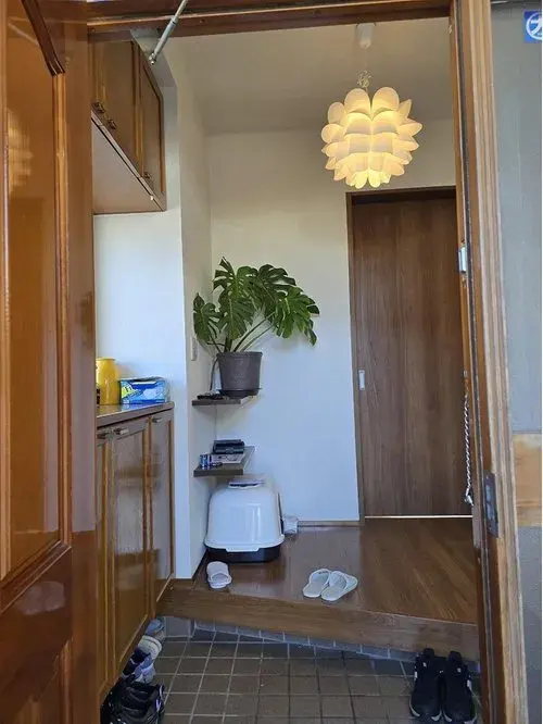 Slide 6