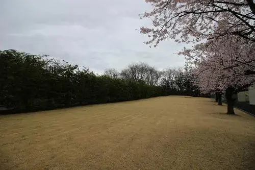 Slide 10