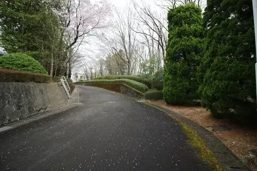 Slide 6