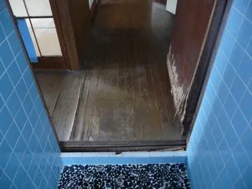 Slide 8