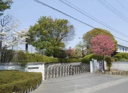 Slide 5