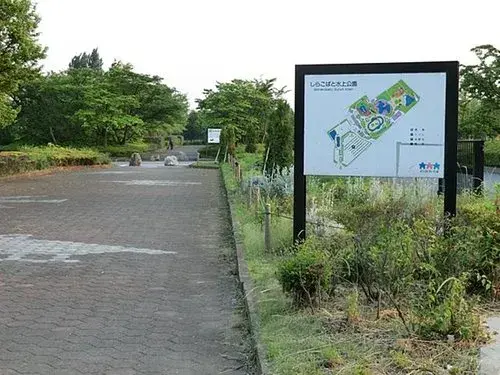 Slide 5