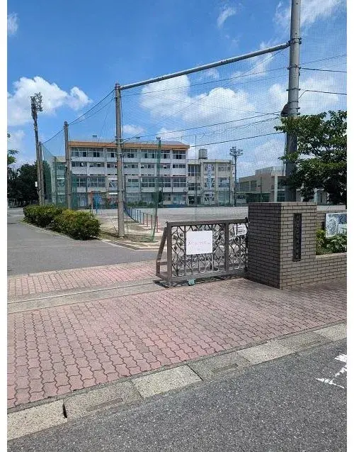 Slide 5