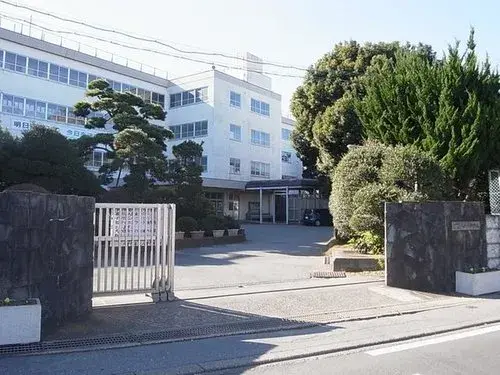 Slide 6