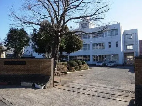 Slide 6