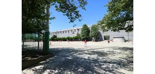 Slide 8