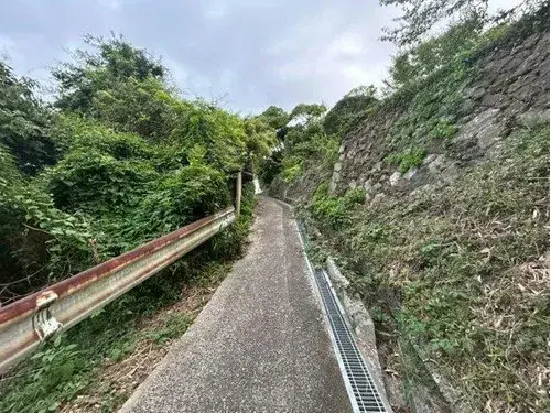 Slide 10