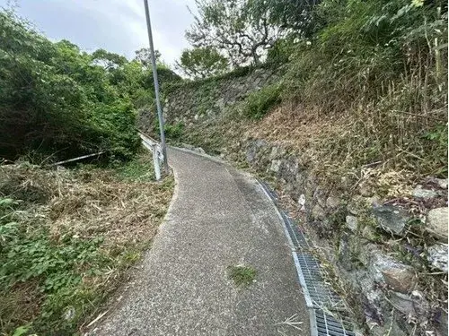Slide 9