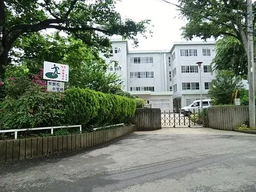 Slide 11