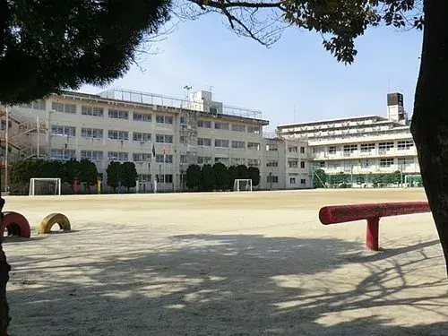 Slide 11