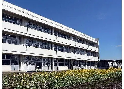 Slide 17
