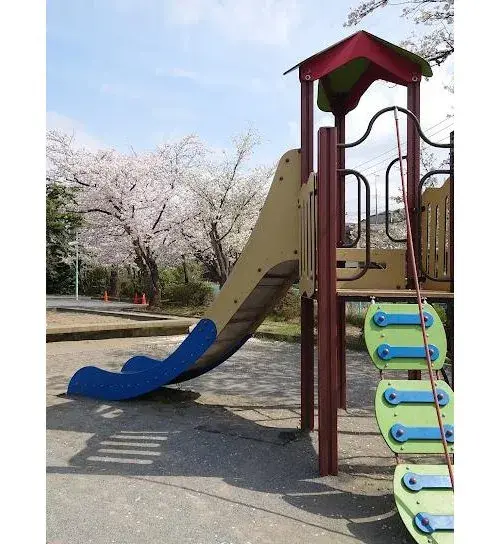 Slide 19