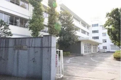 Slide 8