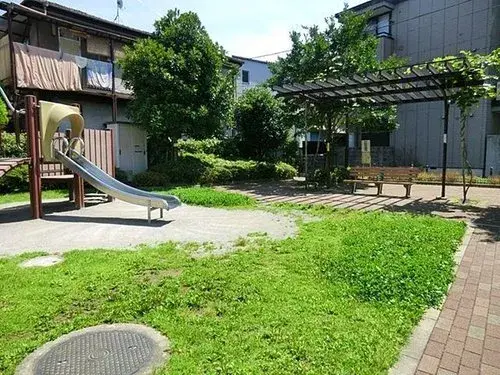 Slide 6