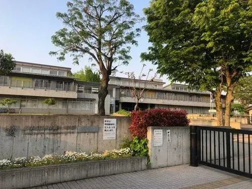 Slide 7