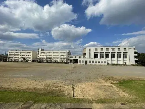 Slide 8