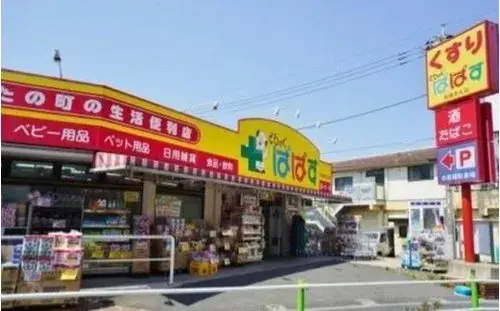 Slide 8