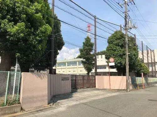 Slide 5