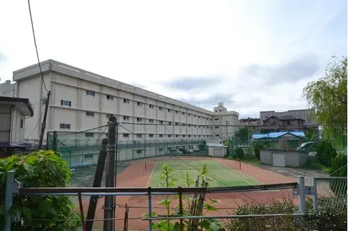 Slide 6