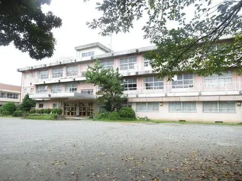Slide 6